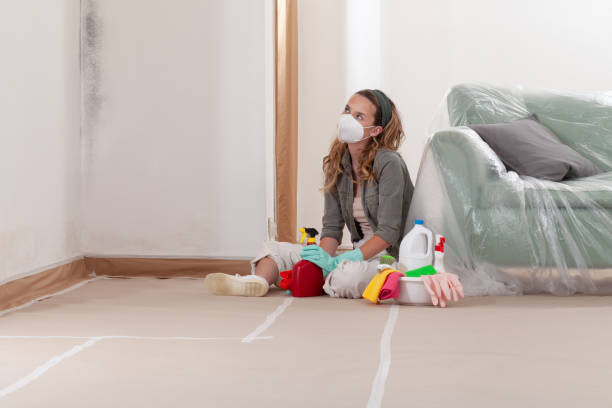 Reliable Mold Cleanup contractor in Grand Ledge, MI by Cheap Mold Removal